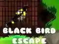 שפּיל שוואַרציק Ýbird אַנט逃 אָנליין