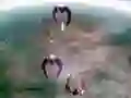 שפּיל סקייפ שאָטטער אָנליין שפּיל סקייפ שאָטטער אָנליין