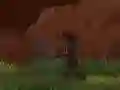 שפּיל פֿאַזע נינדזשאַ אָנליין שפּיל פֿאַזע נינדזשאַ אָנליין