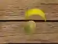 שפּיל פֿרוכט שיסן אָנליין