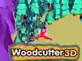 שפּיל האַקן 3D אָנליין שפּיל האַקן 3D אָנליין