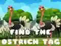 שפּיל פונד א גאלדענע פטי אָנליין שפּיל פונד א גאלדענע פטי אָנליין