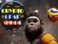 שפּיל קריפּטאָ הויפט העל אָנליין שפּיל קריפּטאָ הויפט העל אָנליין