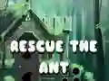 שפּיל ראַטעווען די אַנט אָנליין