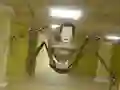 שפּיל סקיבידי אין די צוריק זימער אָנליין
