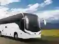 שפּיל ווען פּעלער וואס סאַמיאַליאַס אָנליין