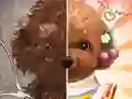 שפּיל פעט מאקאַרפּ מאסטער אָנליין