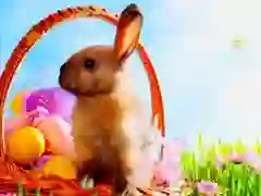 שפּיל פאַסכער פֿאַרבאָרגענע שטערן אָנליין