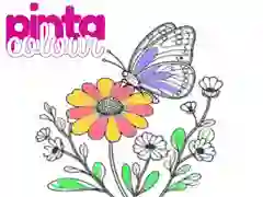 שפּיל פּינטאַ קאָליר אָנליין שפּיל פּינטאַ קאָליר אָנליין