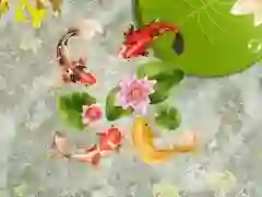 שפּיל קוי פיש פּאַן אָנליין שפּיל קוי פיש פּאַן אָנליין