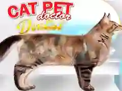 שפּיל קאַץ פּעט דאָקטאָר דענטיסט אָנליין