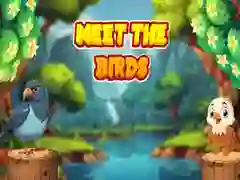 שפּיל טרעף די בירדר אָנליין שפּיל טרעף די בירדר אָנליין