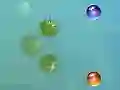 שפּיל מיינע אָפּריכטונגען אָנליין