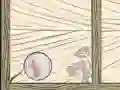 שפּיל בולבע Quod אָנליין