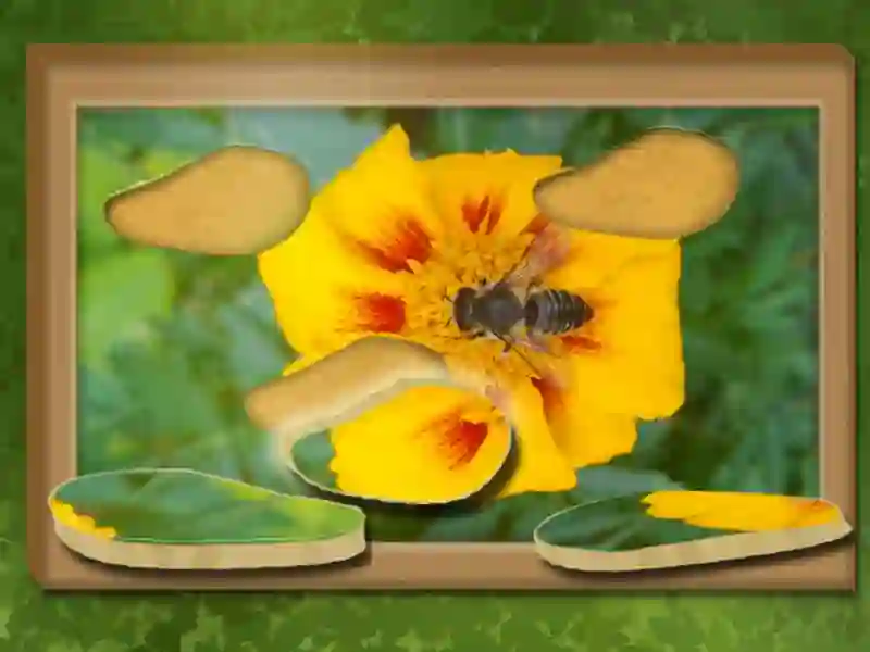 שפּיל שינעטער ןגרָאברַאפ :ןרעקמו & ןעניֿפעג אָנליין