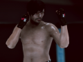 שפּיל MFS: MMA קעמפער אָנליין