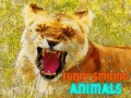 שפּיל פֿריילעכע לאַכן Seemanimals אָנליין